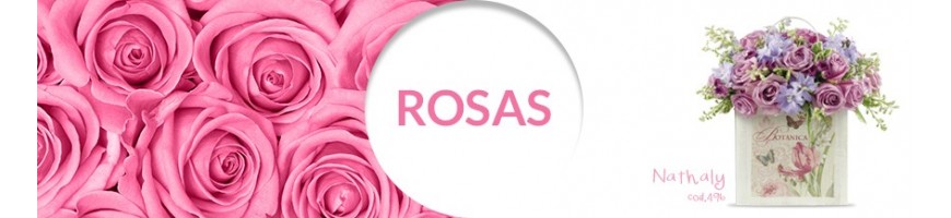 Rosas ok