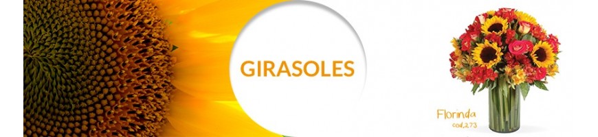 Girasoles