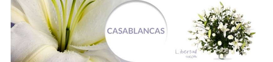 Casablancas ok