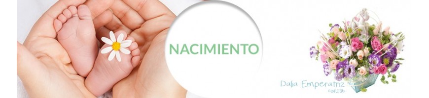 Nacimiento