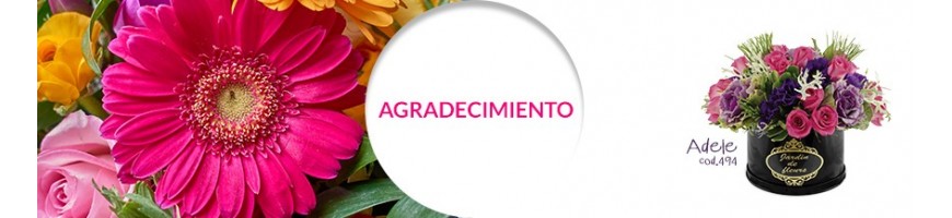 Agradecimiento