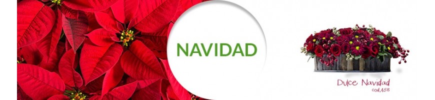 Navideño