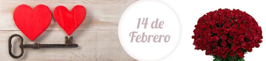 14 de Febrero