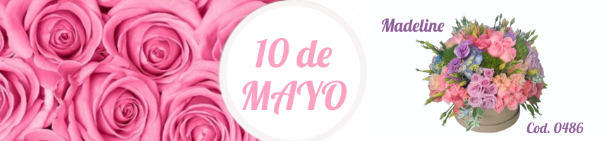 Especial 10 de mayo