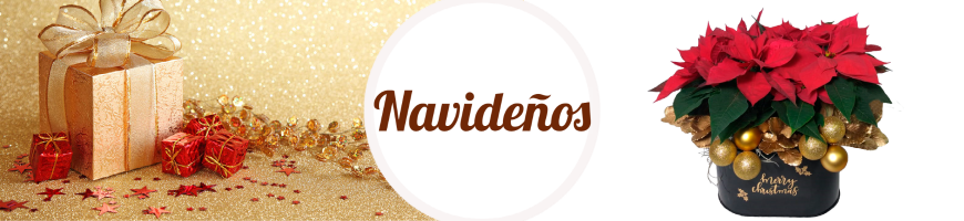 Navidad